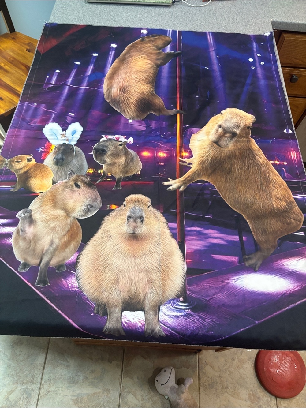 Capybara-Themed Flag